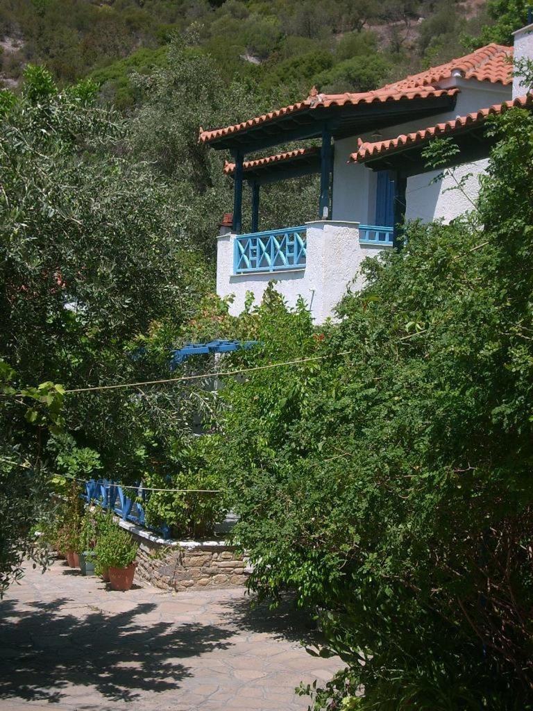Blue Horizon Marathókampos Exterior foto